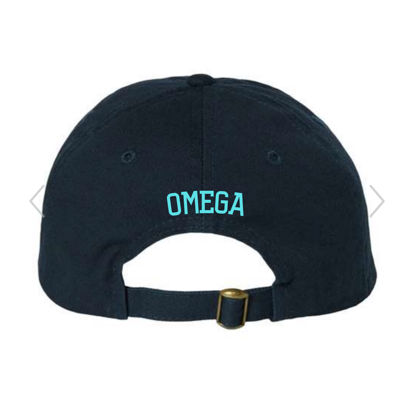 Stay PAWsitive Dad Cap