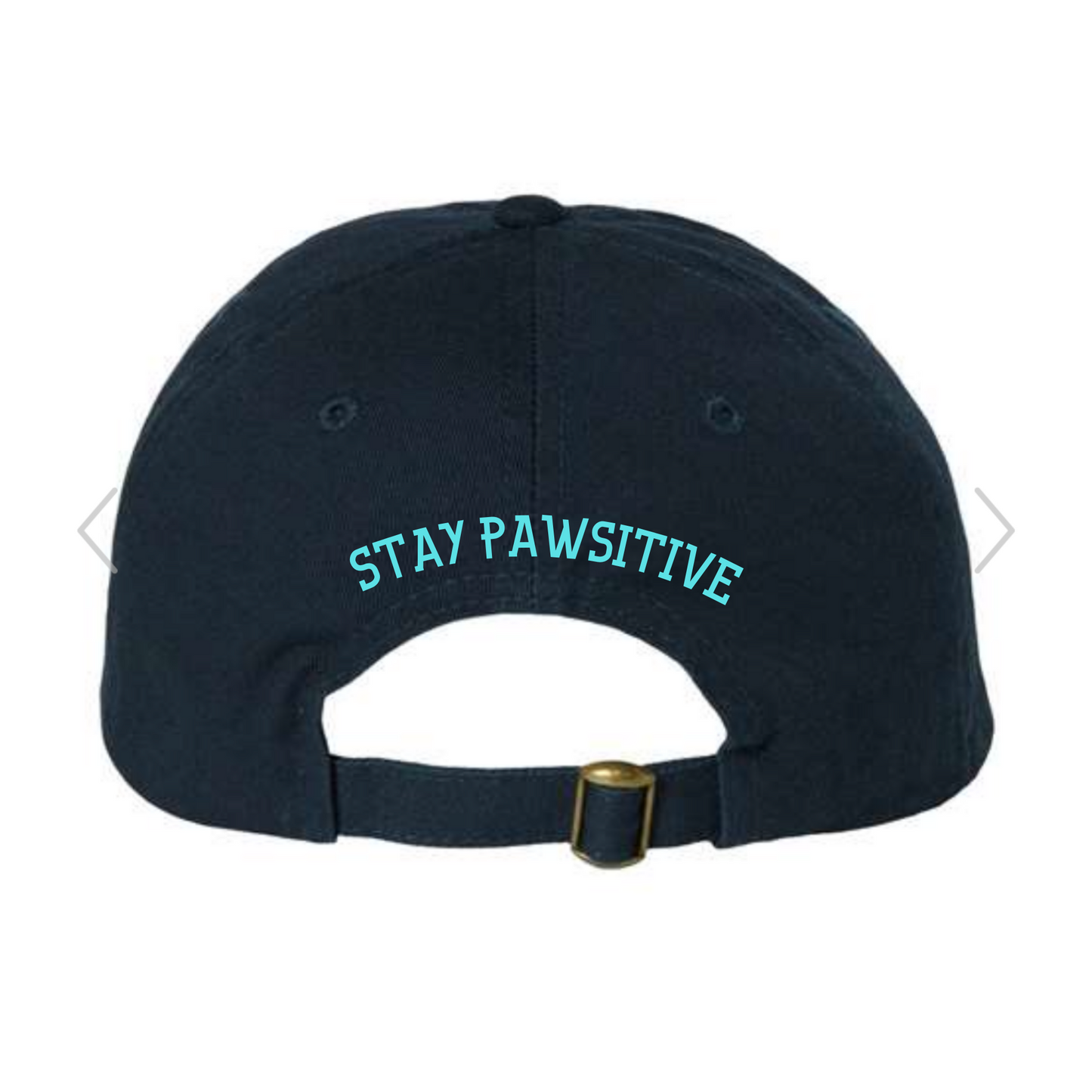 Omega Dad Cap