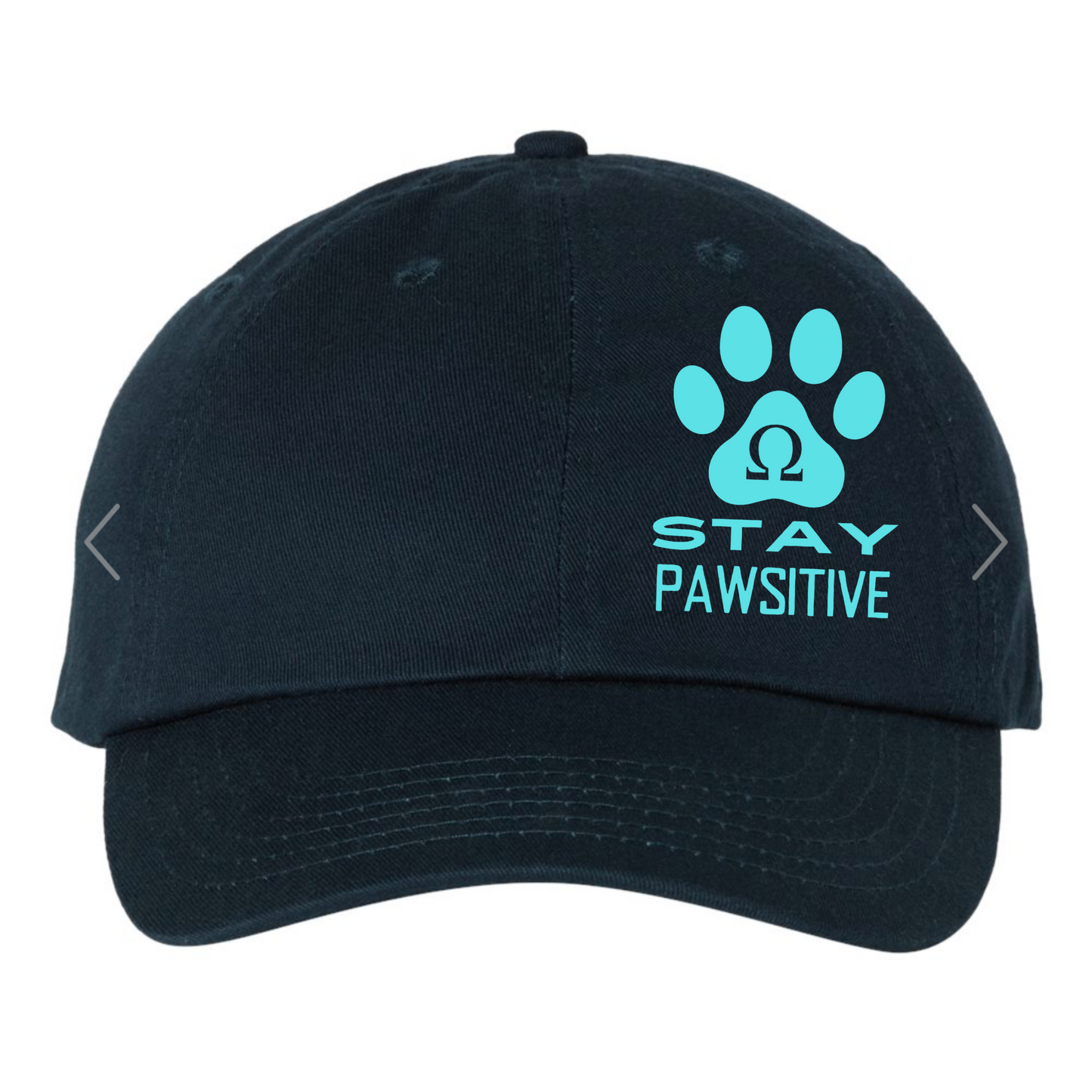 Stay PAWsitive Dad Cap