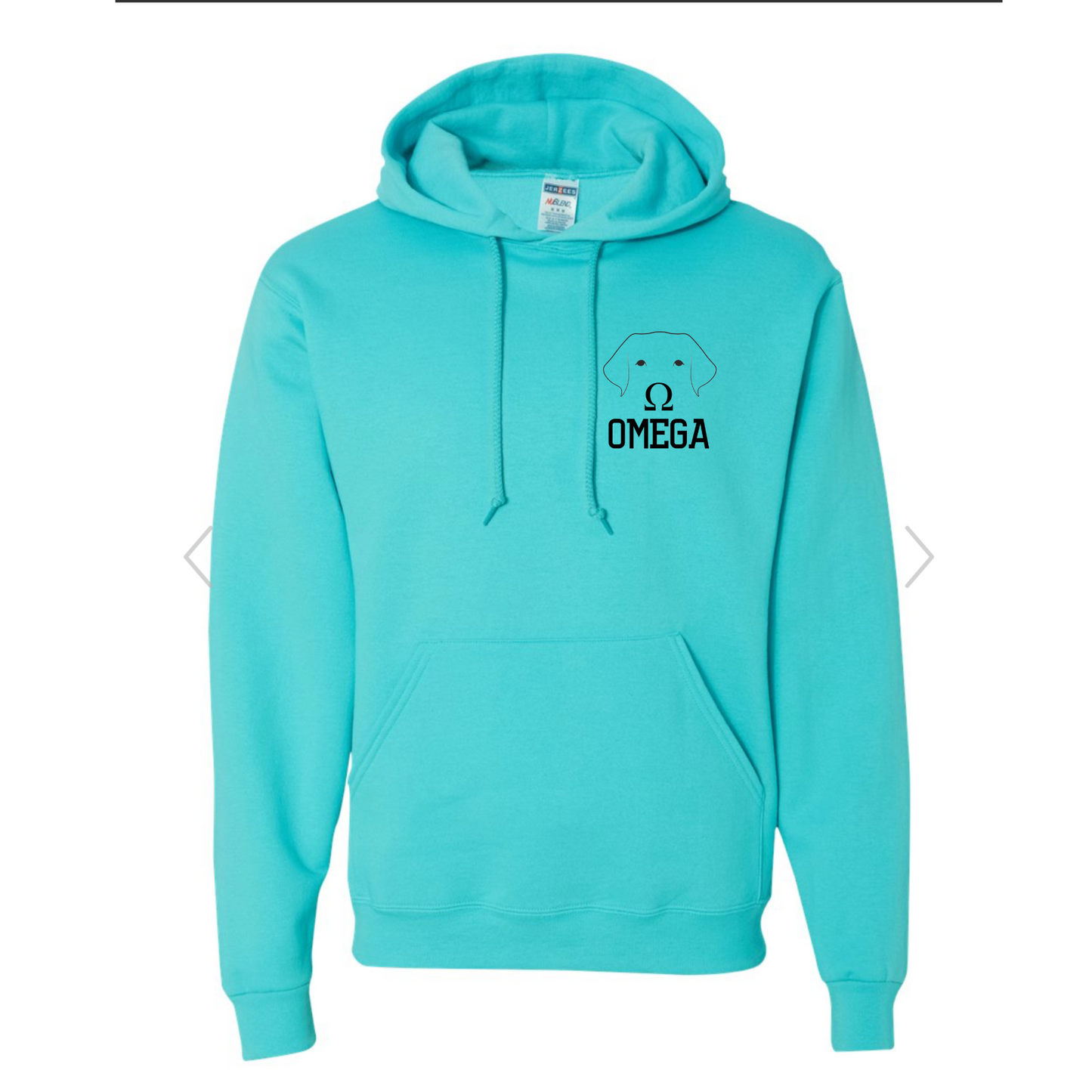 Omega Hoodie